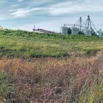The main drain channel runs through Les Felsch’s farm in Manitoba’s Red River Valley. He and researchers want to know more about the water and nutrients that flow off the land. | Ed White photo