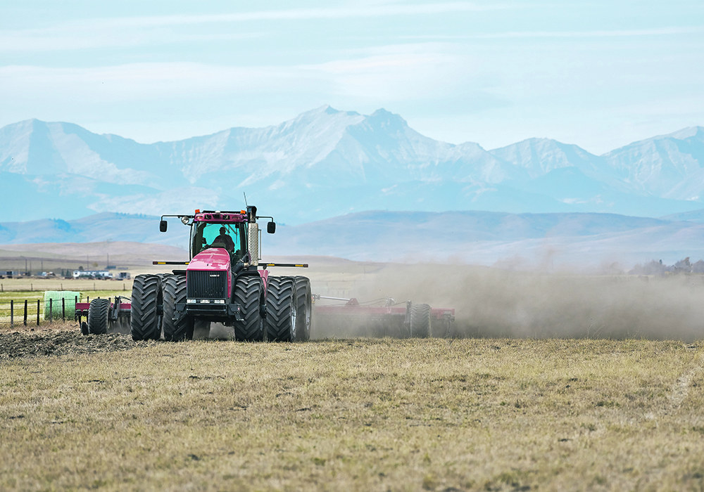 Wally Smith discs a field west of Cayley, Alta., to prepare it for next year’s grain crop. Farmers are urged to keep the impacts of this year’s drought in mind as they prepare for 2022. | Mike Sturk photo.