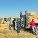 Students at The Farm do chores as part of their daily work. | Supplied photo