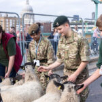 The event is meant to pay tribute to shep- herds’ historic right to drive their animals across London Bridge into the City of London to sell them at market. | Twitter/@PixiedustJtT/Belinda Jiao photo