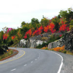 The author recounts a memorable fall road trip that almost ended in despair. | Alma Barkman photo