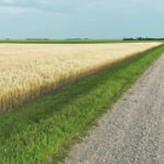 Realtors recommend carving an acreage out of an already treed area of the farm rather than building a new acreage on an area without trees. | File photo