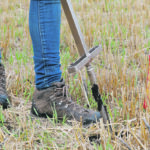 The likelihood of higher-than-normal residual soil nutrient levels following a year of low yields and drought-affected crop development make fall soil testing more important this year. | File photo