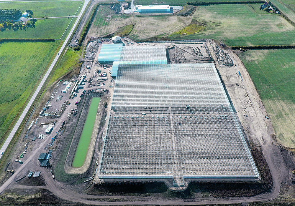Sunterra Greenhouse is building a 20-acre facility near Acme, Alta. | Sunterra Greenhouse photo