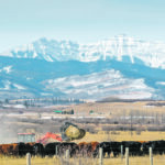 Minister of Rural Economic Development Nate Horner said