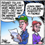 Navigating the perplexing nuances of grain contracts
