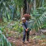 Sathia Varqa, owner and co-founder of Singapore-based Palm Oil Analytics, expects a five to eight percent increase from 2021 levels in Malaysia and a three percent hike in Indonesia. | Reuters photo