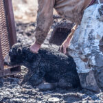 Farming has a unique, grubby, greasy, grungy nature and that’s not something we should turn our eyes from. | Getty Images