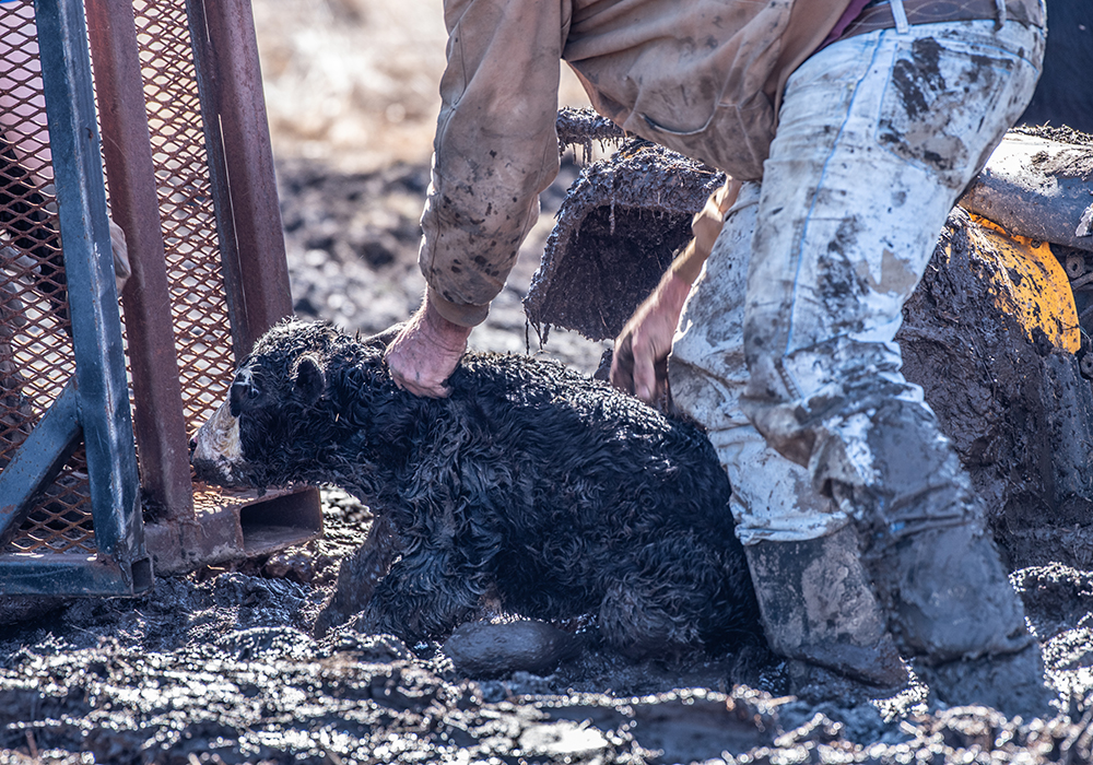 Farming has a unique, grubby, greasy, grungy nature and that’s not something we should turn our eyes from. | Getty Images