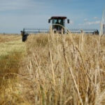Emerging markets require traceability standards to help differentiate food or fuel in ways that a bulk commodity system for commodities like grain does not allow. | File photo