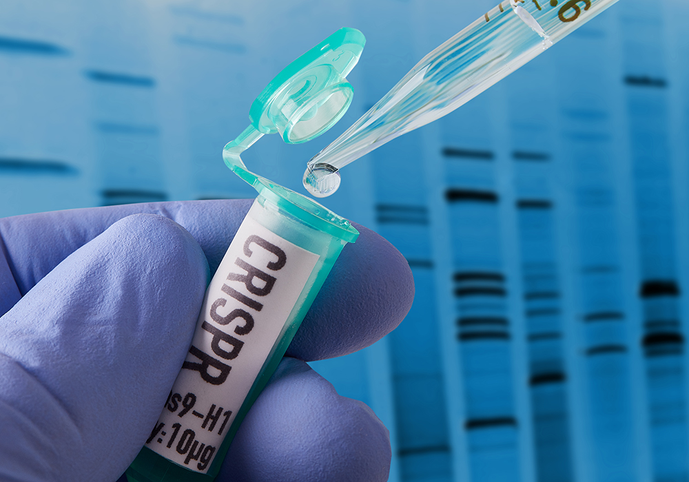 "I think the opportunities are so exciting," said Jennifer Doudna, a biochemist at the University of California at Berkeley. "CRISPR is already being used to manipulate properties of plants that include crop yields, drought tolerance, pest tolerance, things that are going to have important implications around the world especially as we deal with the challenges of climate change." | Getty Images