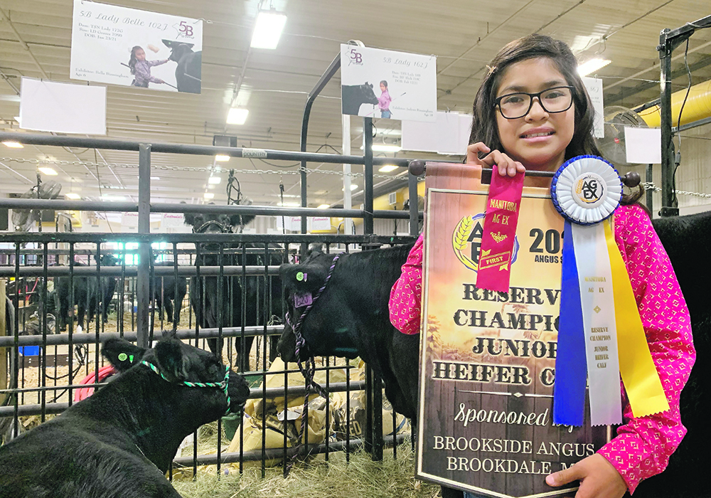 Jazlynn Birmingham of Forrest, Man., is glad to have the “fun” back in cattle shows. She won the Reserve Champion Junior Heifer Calf competition in the Angus show at the Manitoba Ag Ex in Brandon last week. | Ed White photo