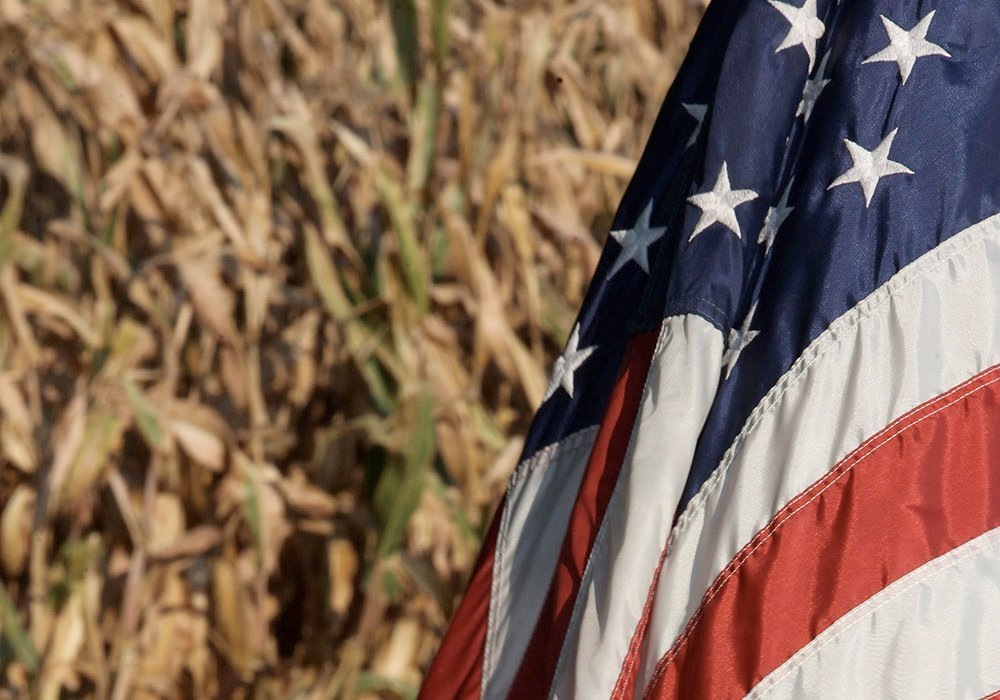 The farmdocDaily pros are suggesting that U.S. corn and soybean farmers now are riding a high-profit wave that’s probably already crested. | File photo