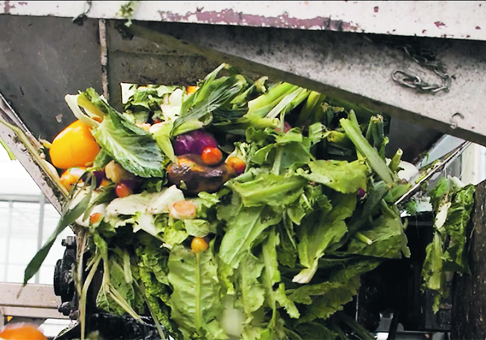 Refeed Canada of Langley, B.C., takes food waste to their facility, where they sort through it to find food for nonprofits and food for livestock.  |  Refeed photo