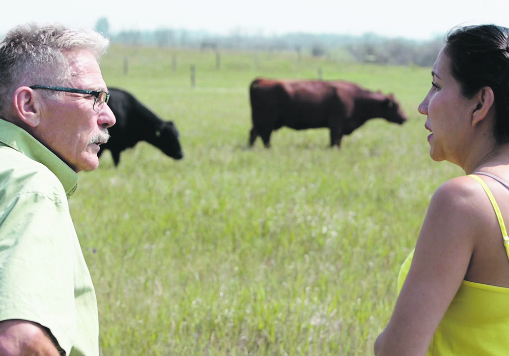 Philip Griebel (left) and Paola Elizalde discuss their pinkeye vaccine research project in the field.  |  VIDO photo