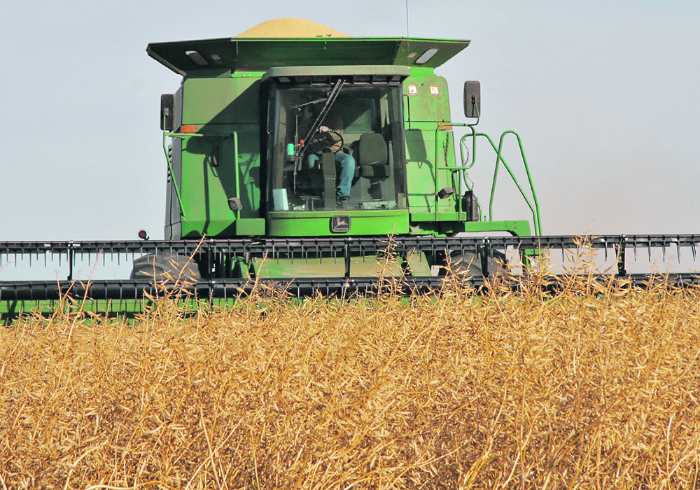 Prices for mustard have skyrocketed over the past year. The high-delivered bids for both yellow and brown mustard are $1.01 per pound, 60 and 70 cents higher, respectively.  |  File photo