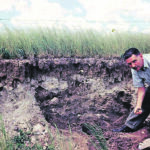 Harold Moss profiles some soil five miles south of Lafleche, Sask., in July 1953. | R.B. McKercher photo