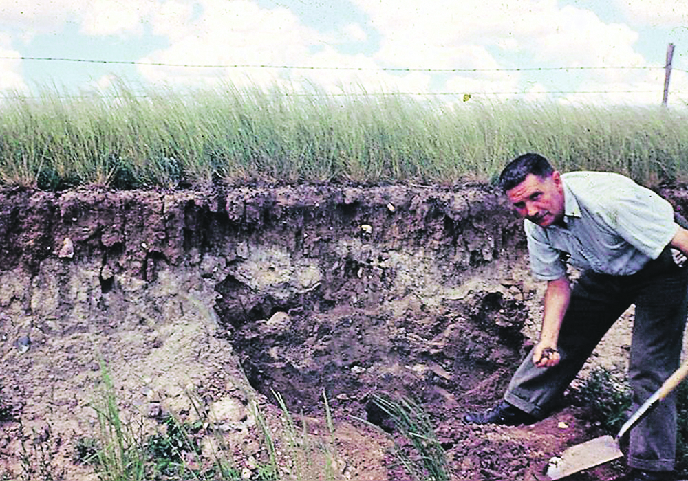 Harold Moss profiles some soil five miles south of Lafleche, Sask., in July 1953.  |  R.B. McKercher photo