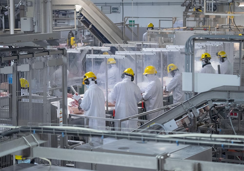 In the pilot program, plants will implement worker safety measures under agreements with labor unions or worker safety committees, the USDA said. | Maple Leaf Foods photo