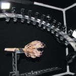 Ten cameras circle a suspended corn root, taking as many as 2,000 images. | University of Georgia photo