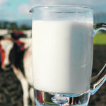 The writer argues that banning the consumption of raw milk assumes Canadians are unable to assess the risks and make up their own minds. | Getty Images