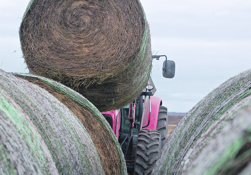 The hay shortage in Western  Canada is expected to worsen as winter arrives. | Jeanette Greaves photo