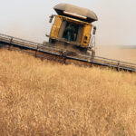 Europe is looking to increase its pulse crop production over the coming years and that will result in fewer imports for the region. | File photo