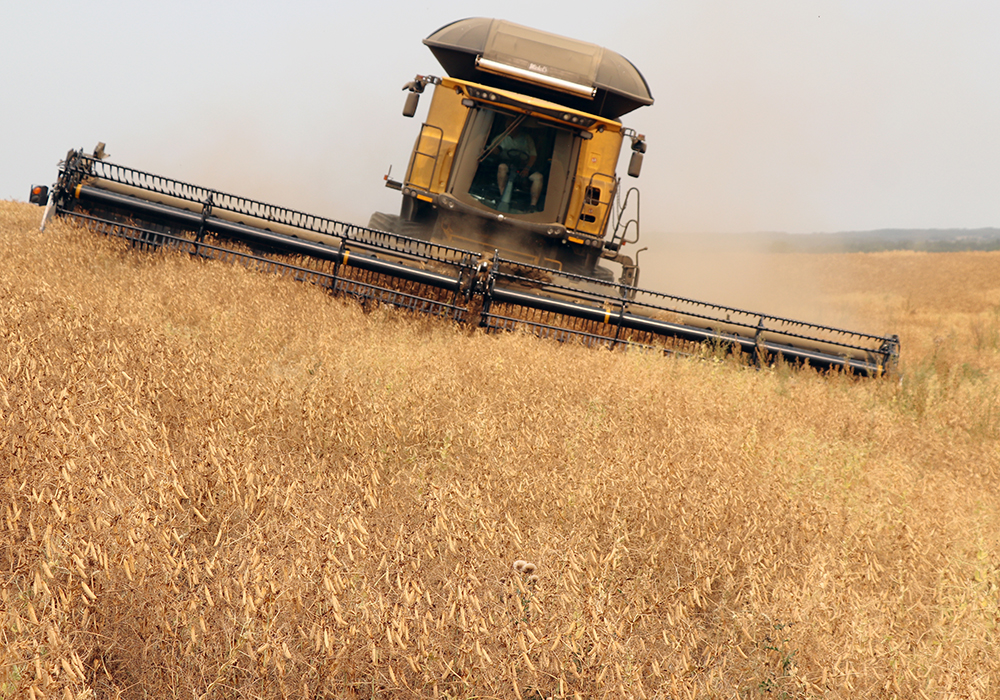 Maximize 2021 corn harvest