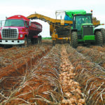 The PEI Potato Board, in a statement released Nov. 22, said this decision has nothing to do with plant disease issues and everything to do with trade. | File photo