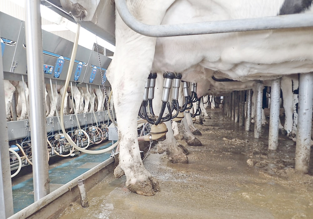 People not only have more options to choose from, they also want to “know more about what’s in their food and how it's produced,” said Jacques L efebvre, chief executive officer of the Dairy Farmers of Canada. | File photo