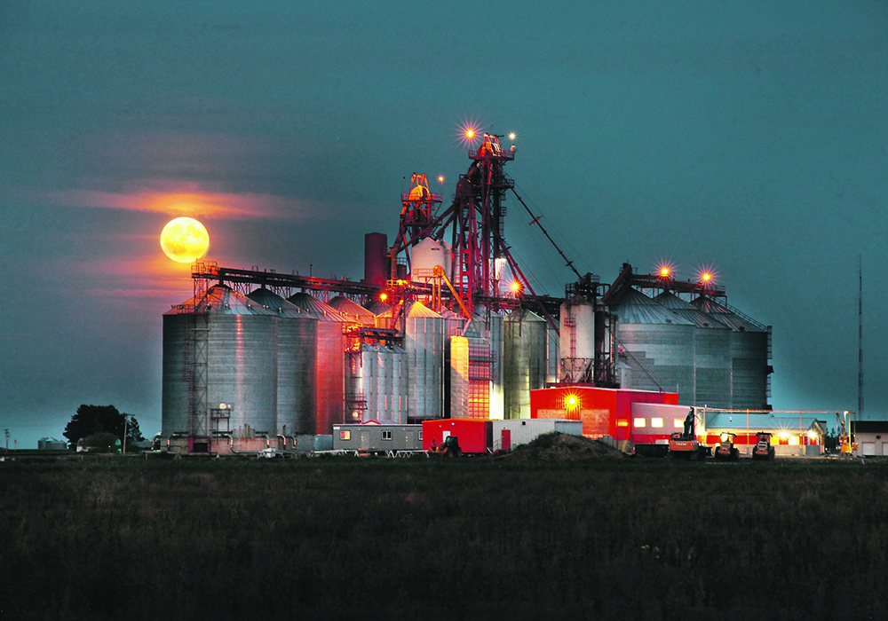 Figuring out what risk management approach works best when it comes to pricing new crop will vary from farmer to farmer. | File photo
