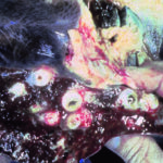 Liver damage caused by flukes, as seen here, can open the way for redwater disease, which is acute and deadly. | Dr. Buddy Faries photo