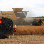 Pulse crop acres come under competition from other, profitable crops. | Robin Booker photo
