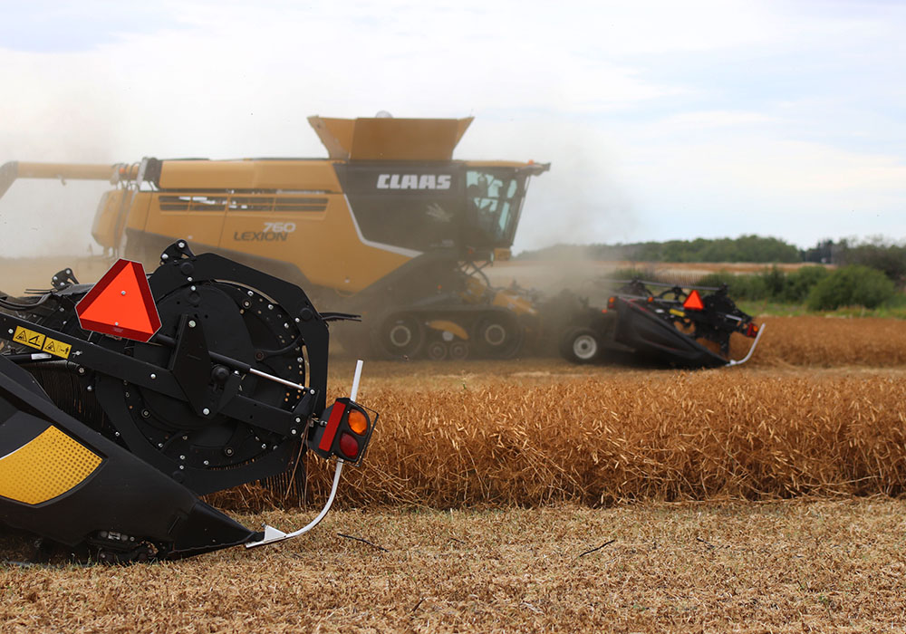 Pulse crop acres come under competition from other, profitable crops.  |  Robin Booker photo