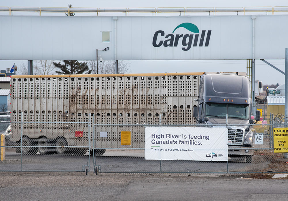 An empty cattle liner leaves the Cargill meat packing plant near High River, Alta. A new collective agreement has been achieved at the facility, avoiding a Dec. 6 projected labour disruption.  |  Mike Sturk photo
