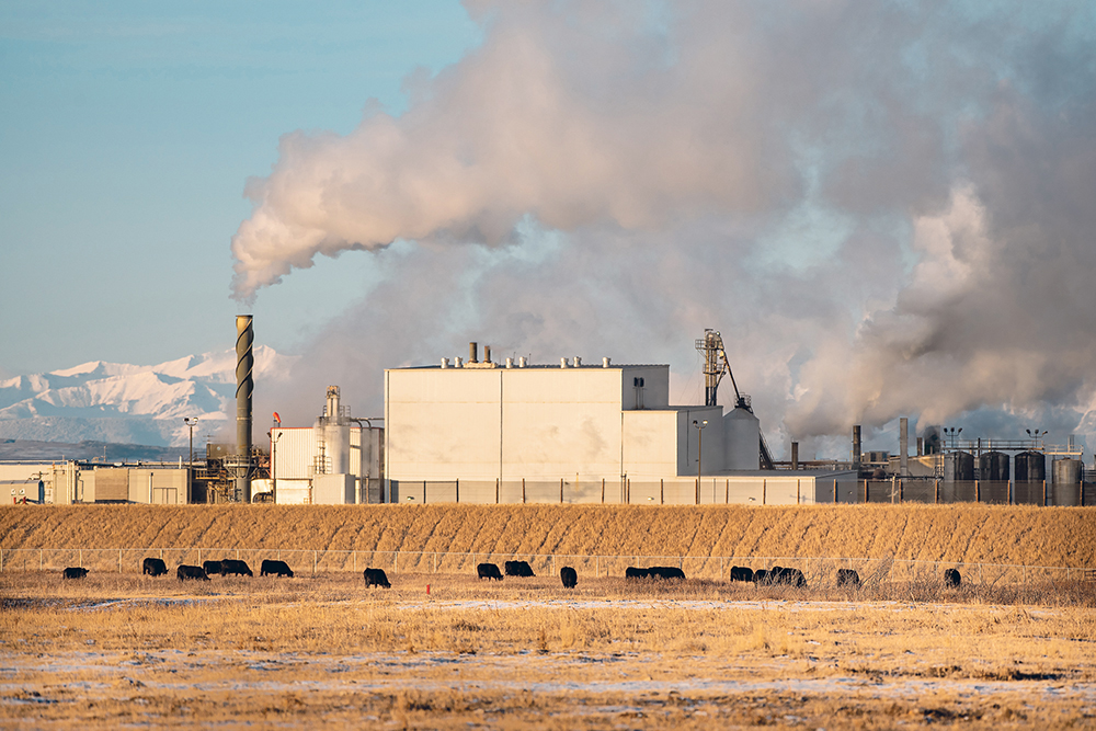 A vote in favour of a new collective agreement between Cargill and its staff at the High River, Alta., beef packing facility ends speculation about disruptions in the beef business for Canada this fall.  |  Mike Sturk photo