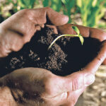 The hands that will carry on the business and growth of agriculture are in an ever-shortening supply. The industry needs to look at itself and what fails to make it attractive to workers. | file photo
