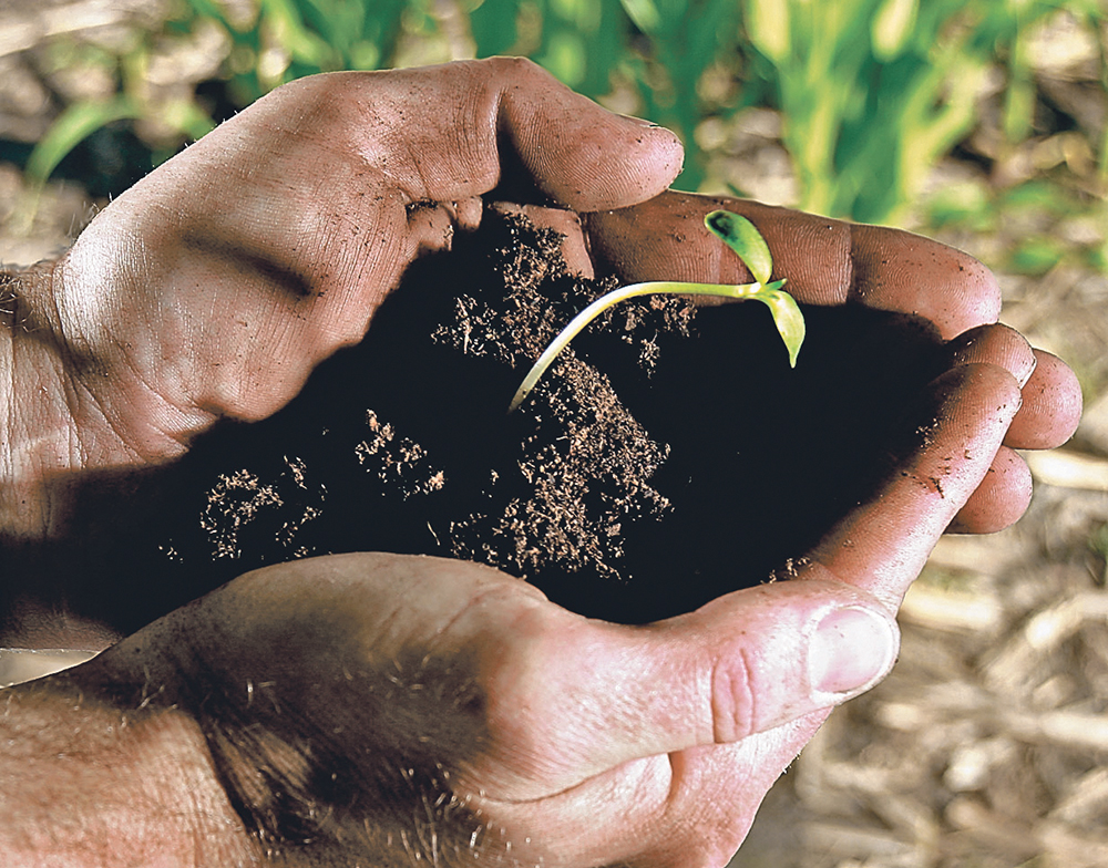 The hands that will carry on the business and growth of agriculture are in an ever-shortening supply. The industry needs to look at itself and what fails to make it attractive to workers.  |  file photo