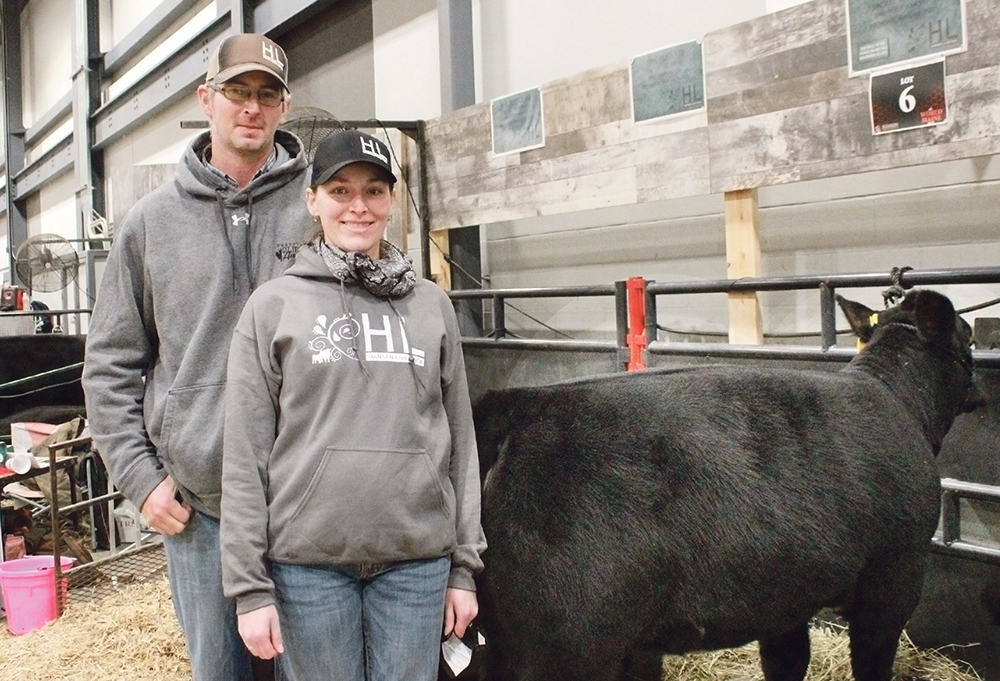 Myles and Colleen Hansen stand with the heifer calf that they consigned to the Maine-Anjou sale – which was donated back to them. | MELISSA BEZAN PHOTO