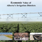 Along with contributions to livestock, recreation and other direct benefits from irrigation between 2011 and 2018, it has resulted in a more than $5 billion boost to Alberta’s gross domestic product, according to AIDA’s latest report. | Screencap via albertairrigation.ca