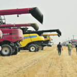 The Canadian Foodgrains Bank depends on donations through annual growing projects such as this one held in Taber, Alta., in 2018, but it also relies on an annual grant from the federal government. | File photo