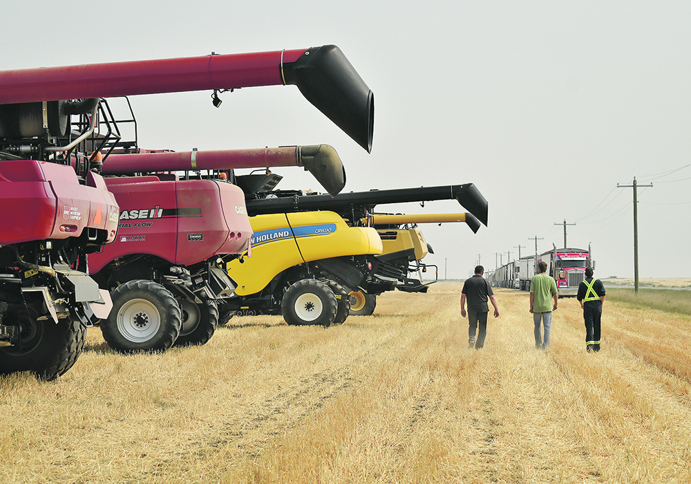 The Canadian Foodgrains Bank depends on donations through annual growing projects such as this one held in Taber, Alta., in 2018, but it also relies on an annual grant from the federal government. | File photo
