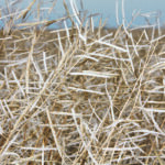 A combination of genetics, maturity and weather can create wrecks for producers, like this one in 2016 at Wilcox, Sask. | File photo