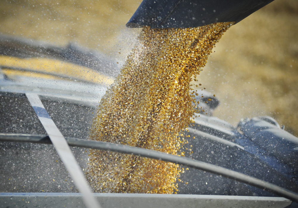 Predicting yield is next to impossible. However, there are things you can do, using averages, that may enable you to get a better picture of what to expect next year. | File photo