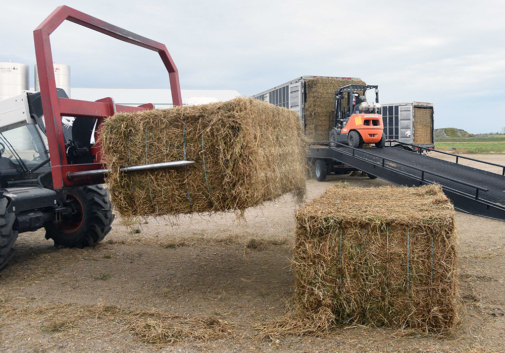 Hay West was initially launched nearly two decades ago during the last major drought to affect cattle producers on the Prairies and was followed by the Hay East program in 2012 to reciprocate the help from fellow producers to their eastern counterparts.  |  William DeKay photo