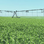 About 110,000 acres are irrigated from Lake Diefenbaker, and the full proposed expansion would take that to 455,000 acres. | File photo