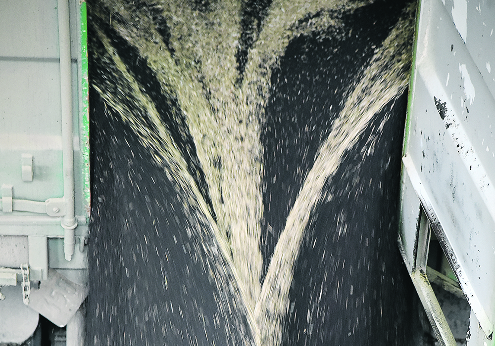 Canada has shipped 2.4 million tonnes of canola so far this year, and another one million has been sold and is in the handling system. | File photo