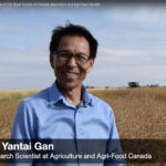 Yantai Gan, 65, was charged with breach of trust, fraud over $5,000 and possession of the proceeds of crime over $5,000 on Nov. 19, 2019, after a search warrant was executed at the Agriculture Canada research centre. | Screencap via YouTube.com/RSC SRC