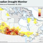 The assessment for the period ended Nov. 30 showed few areas of worsening drought on the Prairies with conditions either staying the same or improving in one drought classification compared to October.
Despite the appearance of improving conditions, drought continues to persist.
| Screencap via agr.gc.ca