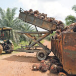 Palm oil is being phased out of the European Union’s biodiesel sector between 2023 and 2030. | REUTERS/ LIM HUEY TENG PHOTO